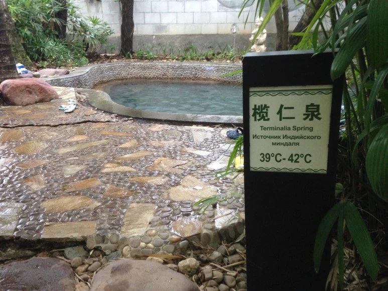 IMG_3139.jpeg?type=w773