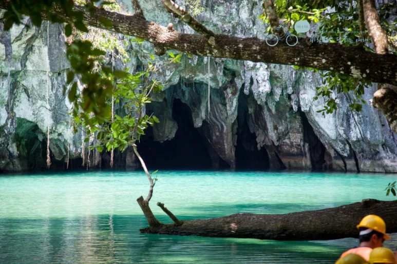 IMG_2070_Wide1080mark%EB%B0%94%EB%9E%8C%ED%83%80%EA%B3%A0.jpg?type=w773