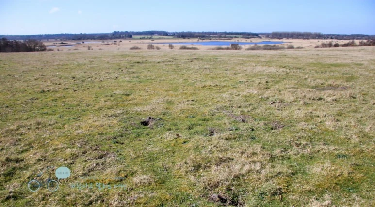 IMG_3637.jpg?type=w773