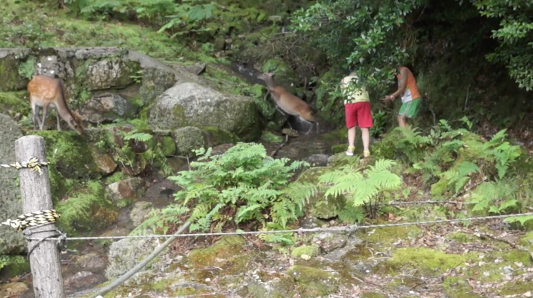 %EC%8A%A4%ED%81%AC%EB%A6%B0%EC%83%B7_2017-02-03_11.16.03.png?type=w773