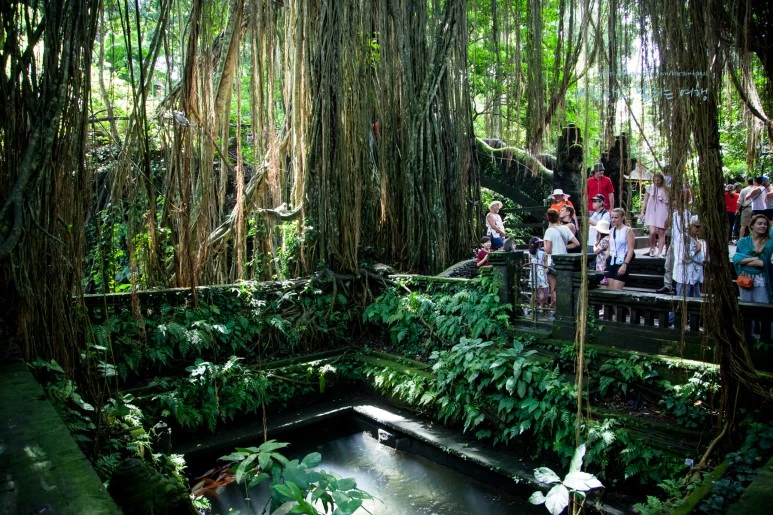 5D_IMG_1800_Short1200mark%EB%B0%94%EB%9E%8C.jpg?type=w773