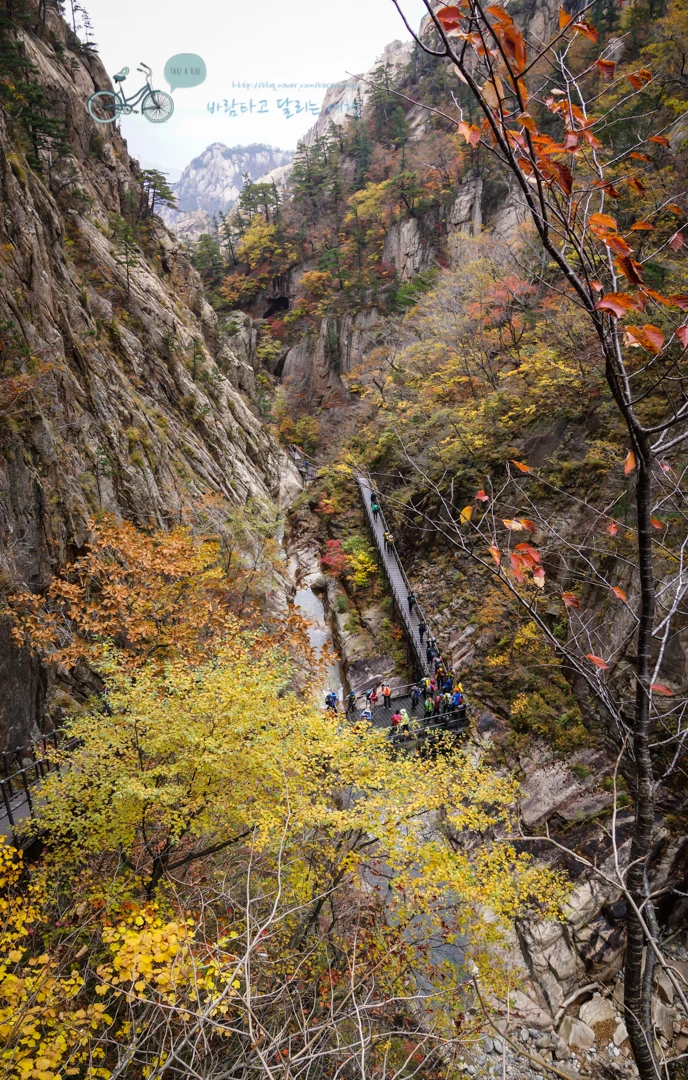 DSC05599_wide1080mark.jpg?type=w773