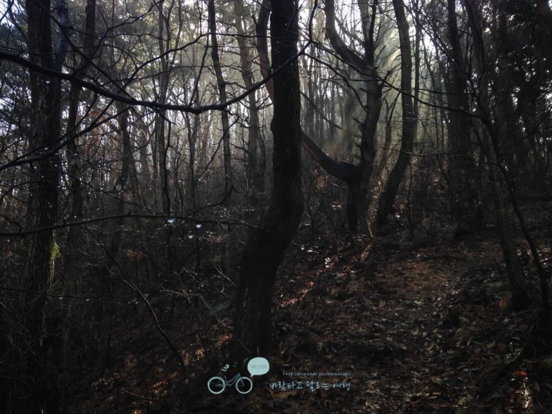 IMG_1625-_Wide1080mark.jpg?type=w773