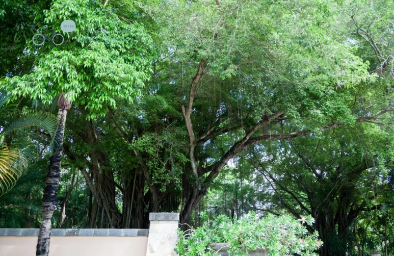 IMG_0304%ED%98%B8%ED%85%94_%EC%9E%85%EA%B5%AC%EC%9D%98_%EB%B0%98%EC%96%80%ED%8A%B8%EB%A6%AC_Wide1080mark%EB%B0%94%EB%9E%8C%ED%83%80%EA%B3%A0.jpg?type=w773