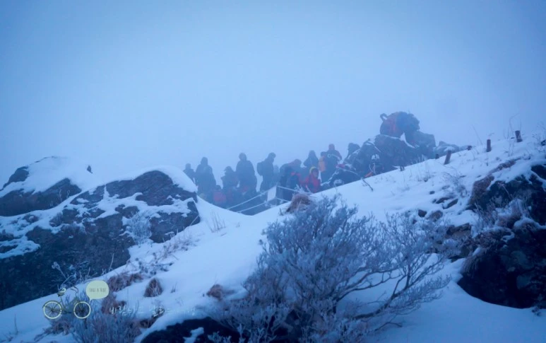 DSC00221.jpg?type=w773