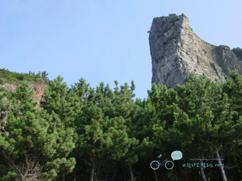 DSC01871.jpg?type=w773