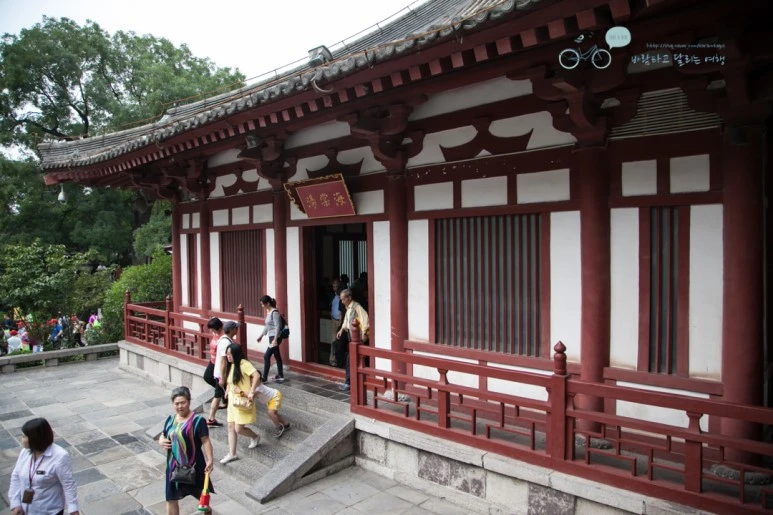 IMG_0218_Wide1080mark%EB%B0%94%EB%9E%8C.jpg?type=w773