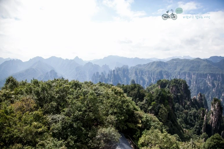 IMG_1211_Wide1080mark%EB%B0%94%EB%9E%8C.jpg?type=w773