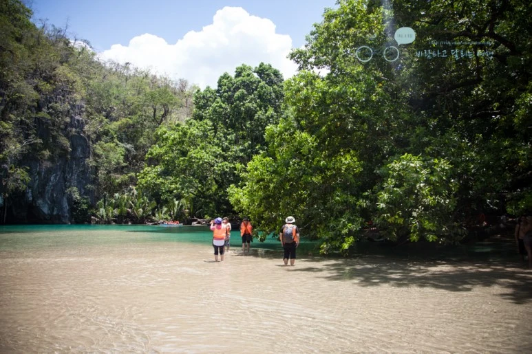 IMG_2097_Wide1080mark%EB%B0%94%EB%9E%8C%ED%83%80%EA%B3%A0.jpg?type=w773