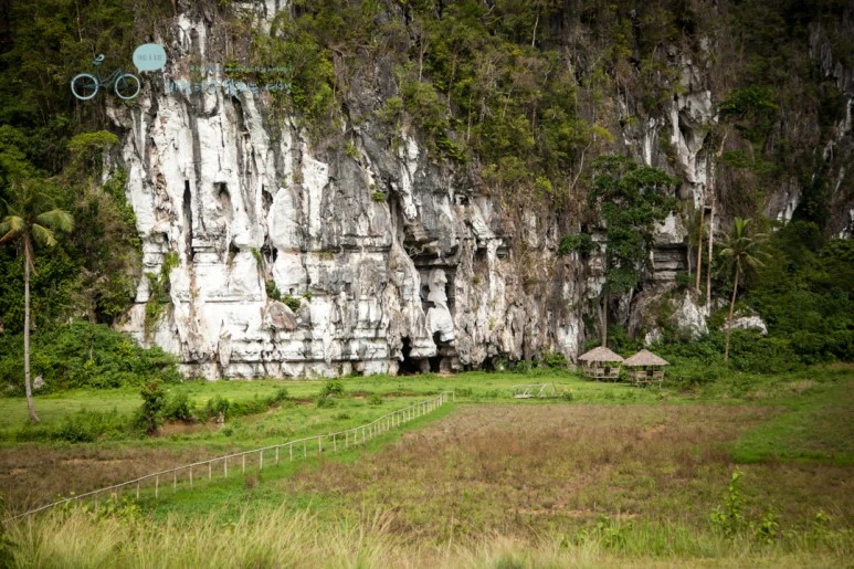 IMG_0573_Wide1080mark%EB%B0%94%EB%9E%8C%ED%83%80%EA%B3%A0.jpg?type=w773