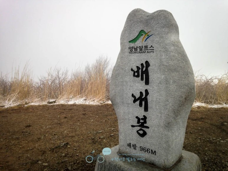 IMG_1969-_Wide1080mark.jpg?type=w773