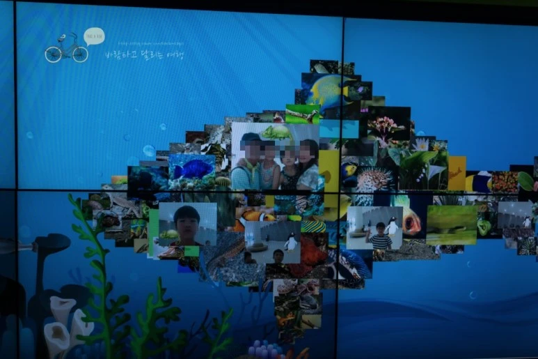 image_8477007461479184954522.jpg?type=w773