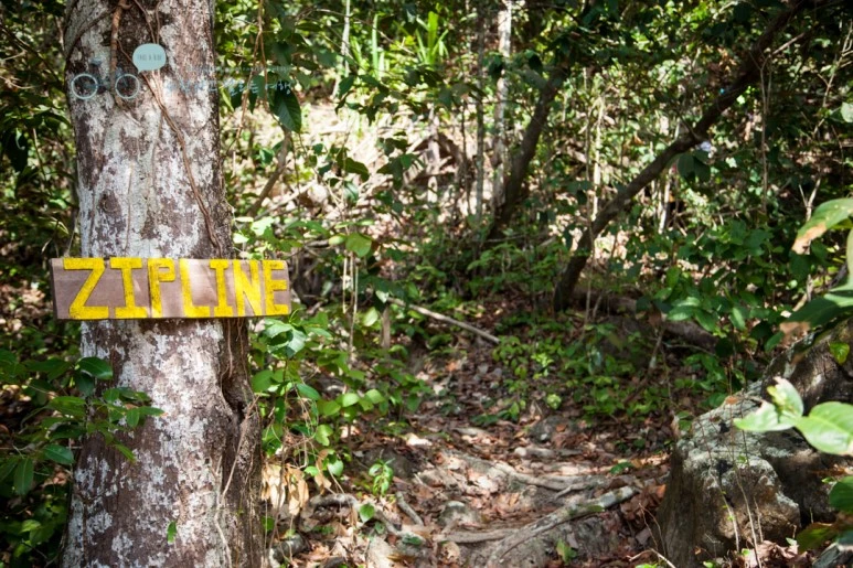 IMG_2266_Wide1080mark%EB%B0%94%EB%9E%8C%ED%83%80%EA%B3%A0.jpg?type=w773