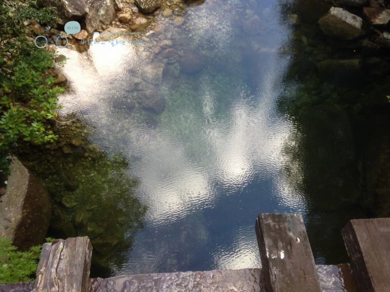 IMG_1260_wide1080.jpg?type=w773