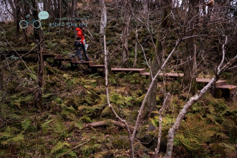 DSC00434.jpg?type=w773