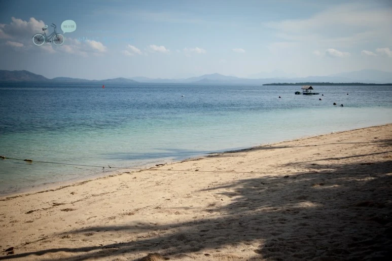 IMG_0342_Wide1080mark%EB%B0%94%EB%9E%8C%ED%83%80%EA%B3%A0.jpg?type=w773