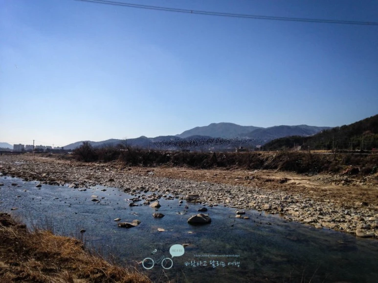 IMG_1733-_Wide1080mark.jpg?type=w773