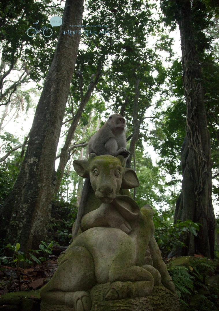 IMG_0125_Wide1080mark%EB%B0%94%EB%9E%8C%ED%83%80%EA%B3%A0-3.jpg?type=w773