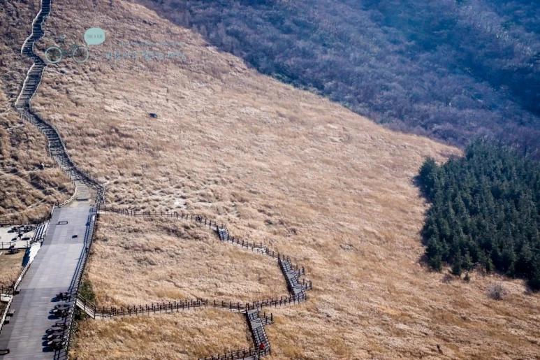 DSC04493_wide1080mark.jpg?type=w773