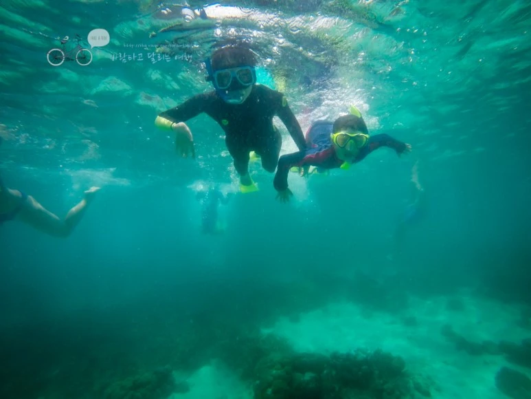 GOPR0104_Wide1080mark%EB%B0%94%EB%9E%8C%ED%83%80%EA%B3%A0.jpg?type=w773