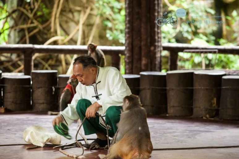 IMG_1456_wide1080%EB%B0%94%EB%9E%8Cmark.jpg?type=w773