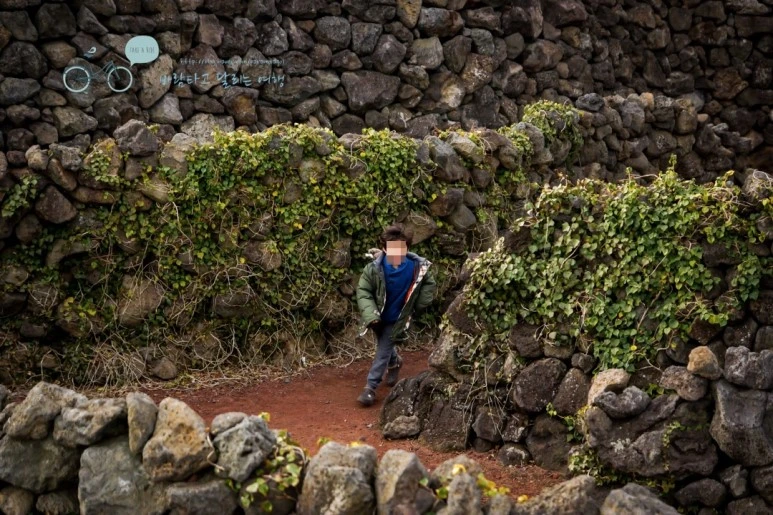 image_4499543711476775573902.jpg?type=w773