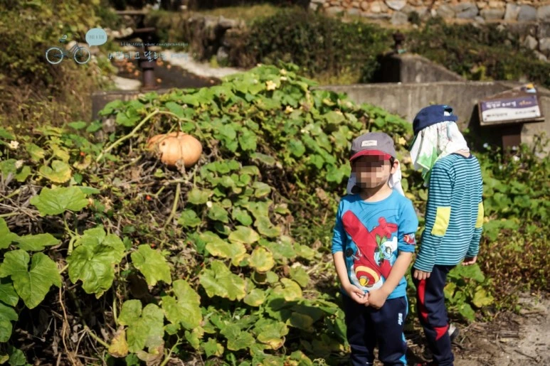 image_2791463251480289929444.jpg?type=w773