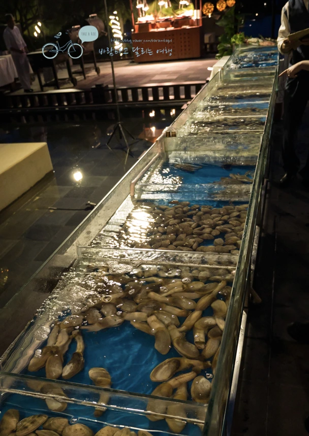 image_4429625781503030867345.jpg?type=w773