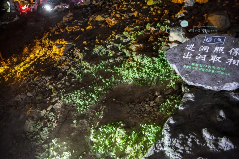 IMG_1235_Wide1080mark%EB%B0%94%EB%9E%8C.jpg?type=w773