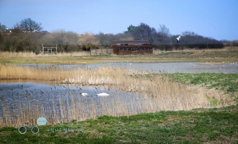 IMG_3297.jpg?type=w773