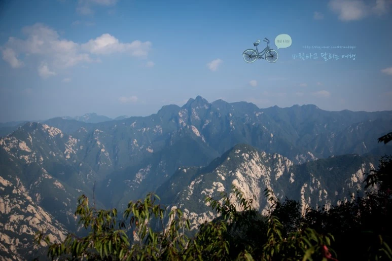 IMG_0332_Wide1080_mark%EB%B0%94%EB%9E%8C.jpg?type=w773