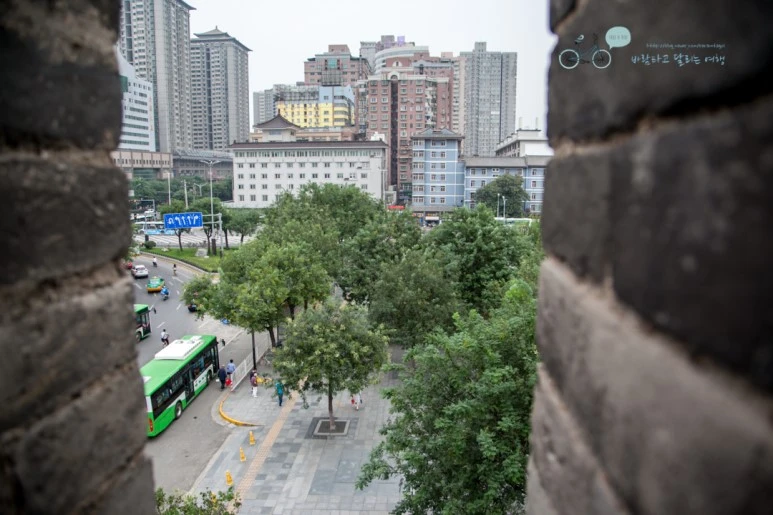 IMG_0298_Wide1080mark%EB%B0%94%EB%9E%8C.jpg?type=w773