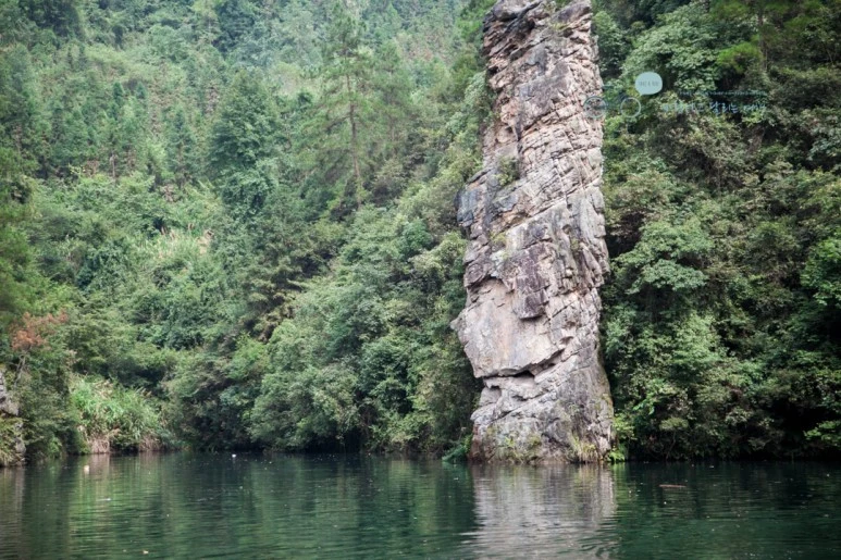 IMG_1362_Wide1080mark%EB%B0%94%EB%9E%8C.jpg?type=w773