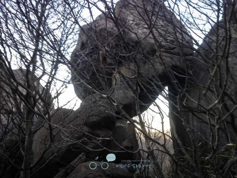 IMG_1385-_Wide1080mark%EB%B0%94%EB%9E%8C.jpg?type=w773