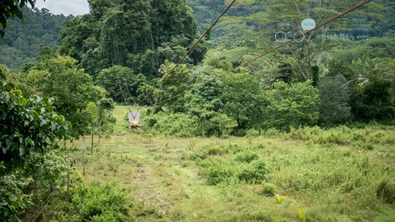 _1030097_Wide1080mark.jpg?type=w773