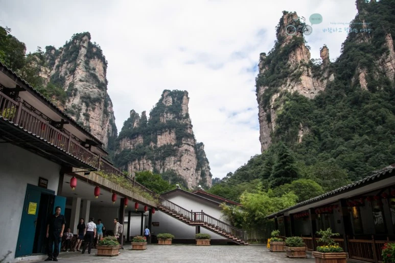 IMG_1419_Wide1080mark%EB%B0%94%EB%9E%8C.jpg?type=w773