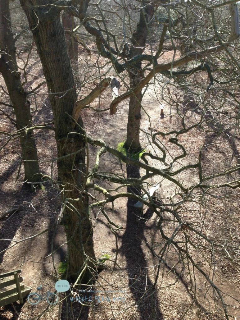 IMG_1612.jpg?type=w773