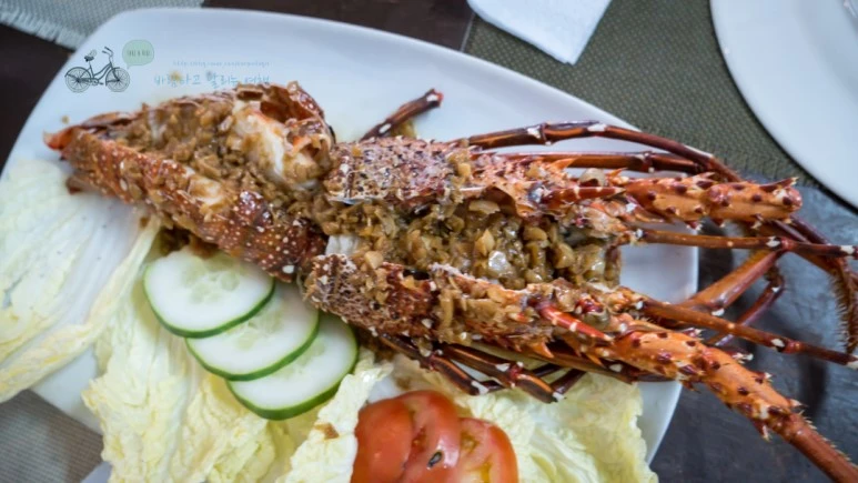 _1010612_Wide1080mark%EB%B0%94%EB%9E%8C%ED%83%80%EA%B3%A0.jpg?type=w773