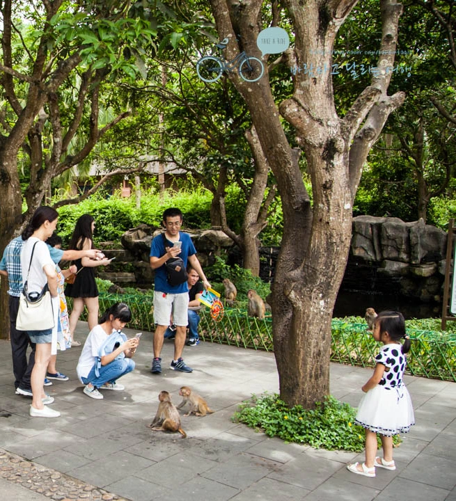 image_963015001516779465032.jpg?type=w773