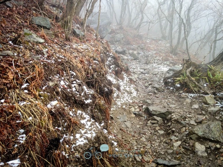 IMG_1900-_Wide1080mark.jpg?type=w773