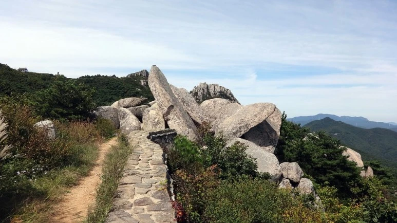 DSC01277.jpg?type=w773