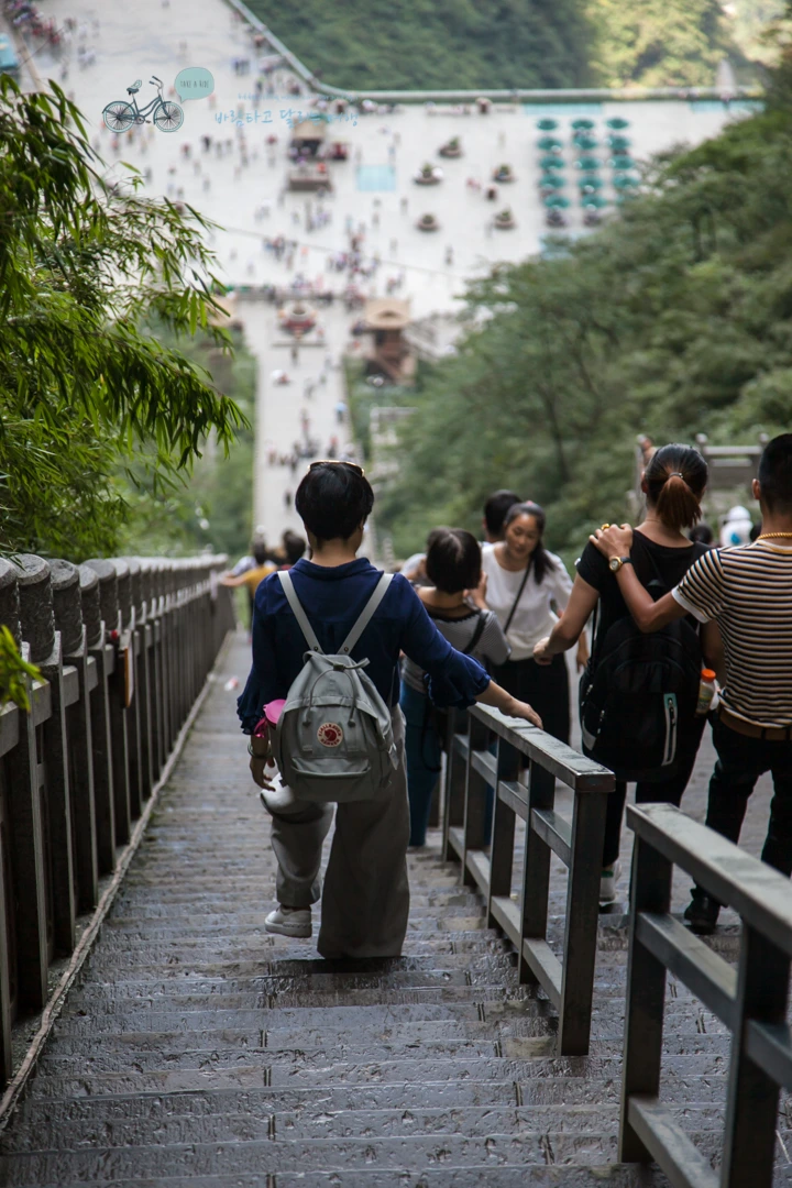 IMG_0498_Wide1080mark%EB%B0%94%EB%9E%8C.jpg?type=w773