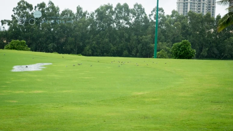 _1000471_wide1080_Wide1080mark_%EB%B0%94%EB%9E%8C.jpg?type=w773