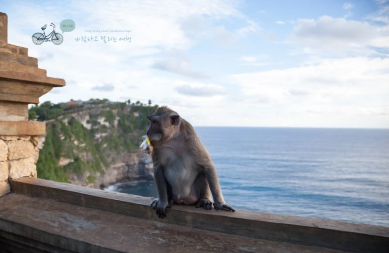 IMG_0611_Wide1080mark%EB%B0%94%EB%9E%8C%ED%83%80%EA%B3%A0.jpg?type=w773