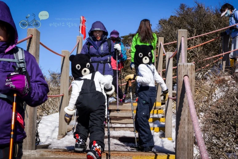 DSC00093_3.jpg?type=w773