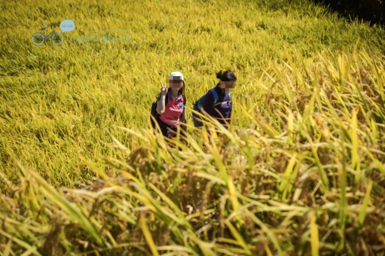 image_4033720881479879300819.jpg?type=w773