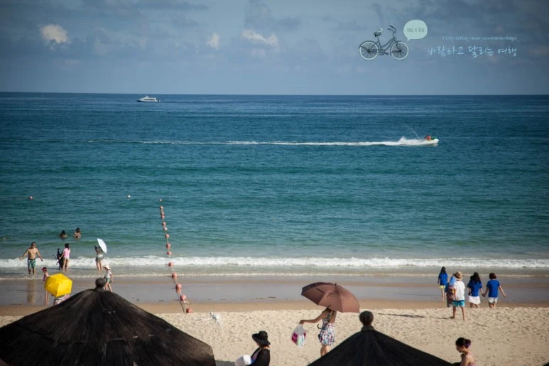 IMG_0797_wide1080%EB%B0%94%EB%9E%8Cmark.jpg?type=w773