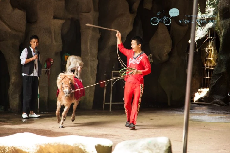 IMG_1375_wide1080%EB%B0%94%EB%9E%8Cmark.jpg?type=w773