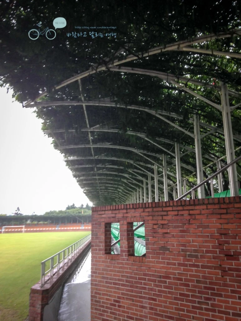 IMG_1646_wide1080mark.jpg?type=w773