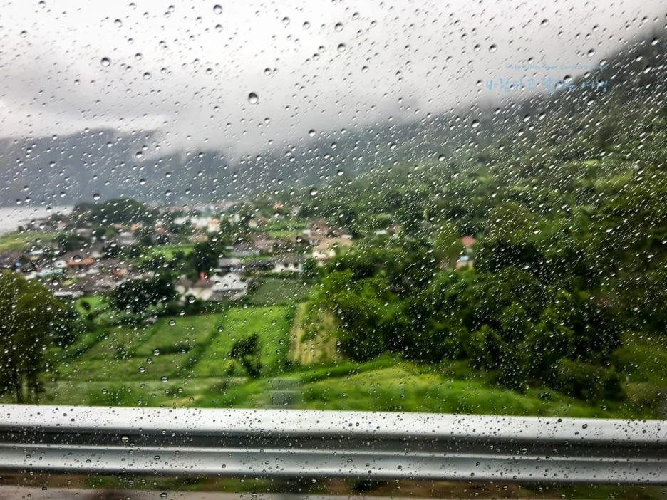 iPhone_IMG_4043_Short1200mark%EB%B0%94%EB%9E%8C.jpg?type=w1